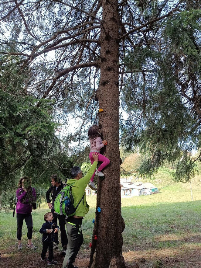 Bambina impegnata in un'attivita' di arrampicata su albero con supporto di un adulto e presenza del gruppo.