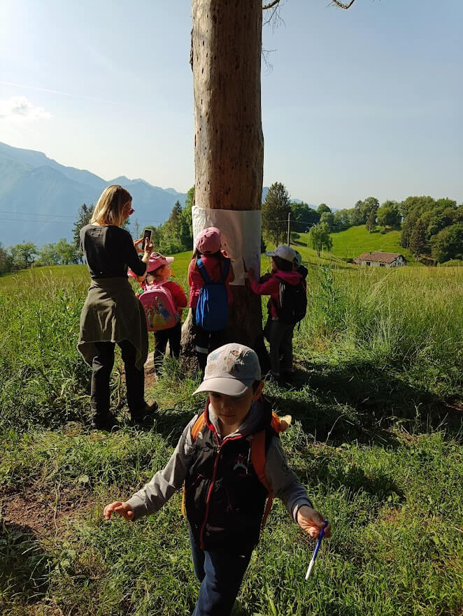 Bambini impegnati in un'attivita' di osservazione e interazione con un albero con panorama montano sullo sfondo.