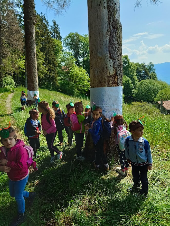 Bambini raccolti attorno a grandi alberi per un'attivita' educativa immersa nel verde.