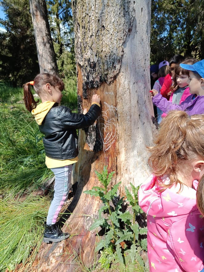 Bambini osservano e segnano il tronco di un grande albero come parte di un'esperienza educativa all'aperto.