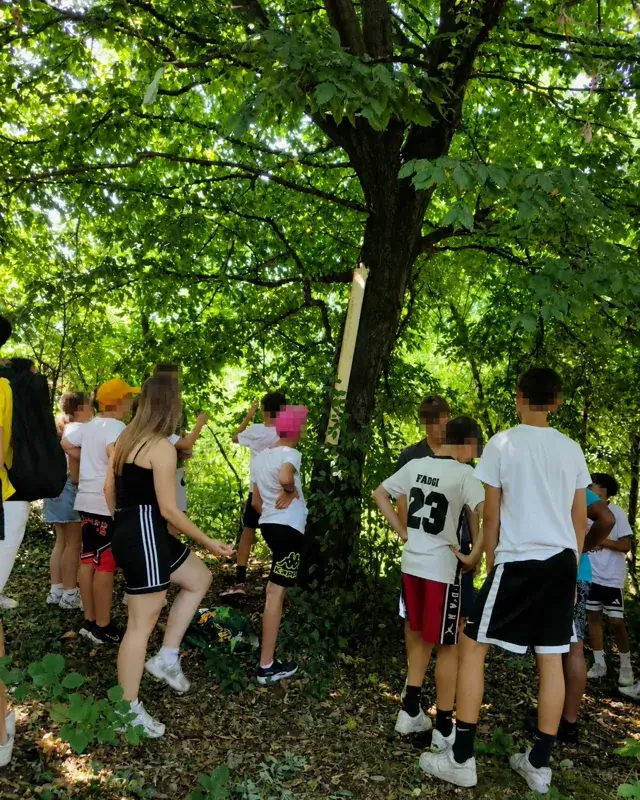 Bambini e accompagnatori osservano insieme un grande albero nel bosco.
