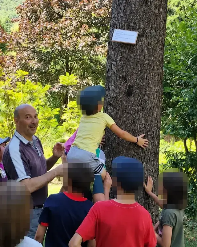 Alcuni partecipanti osservano da vicino il tronco di un grande albero.