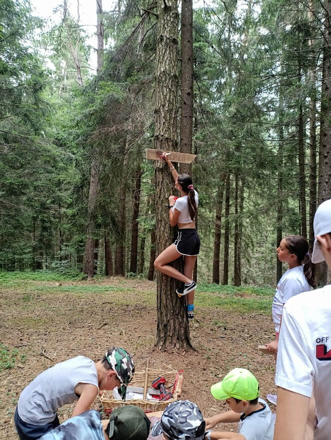 Ragazzi impegnati in un'attivita' tra gli alberi che combina arrampicata, osservazione e costruzione di elementi in legno.