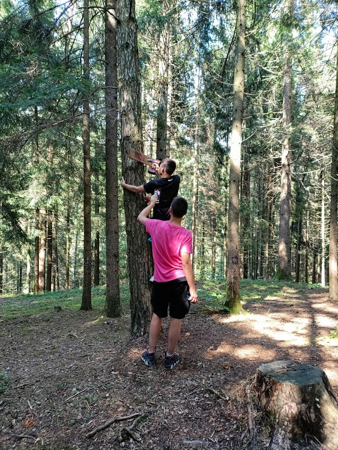 Ragazzi svolgono un'attivita' pratica su un albero nel bosco utilizzando un attrezzo manuale da taglio.
